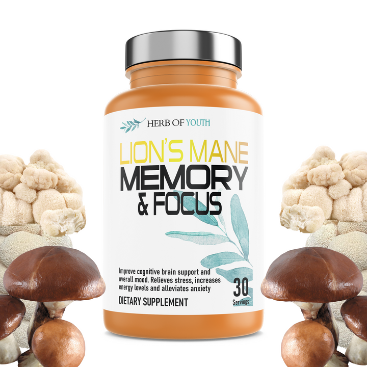 Lion's Mane Memory and Focus