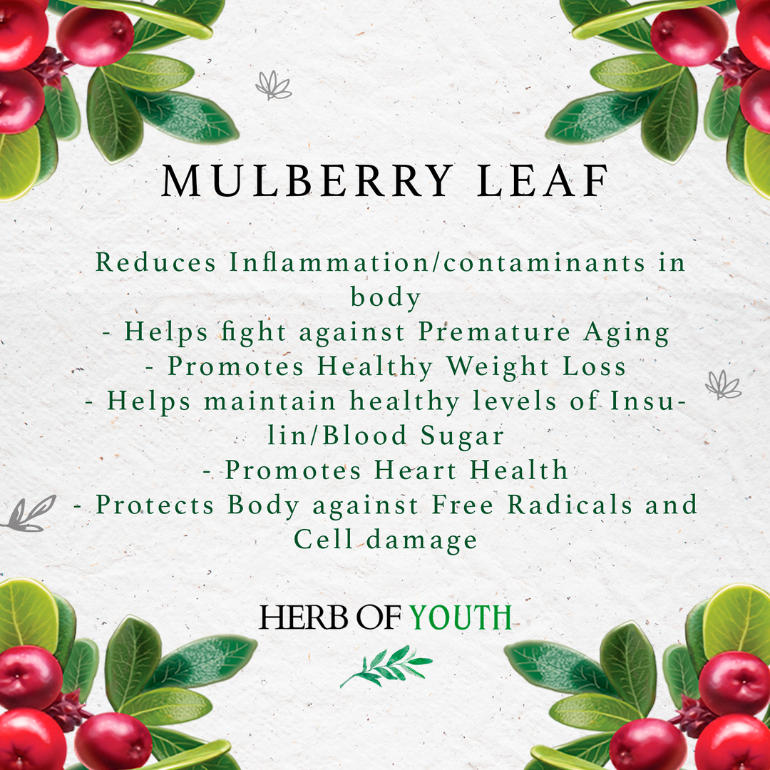 Mulberry Leaf Superfood