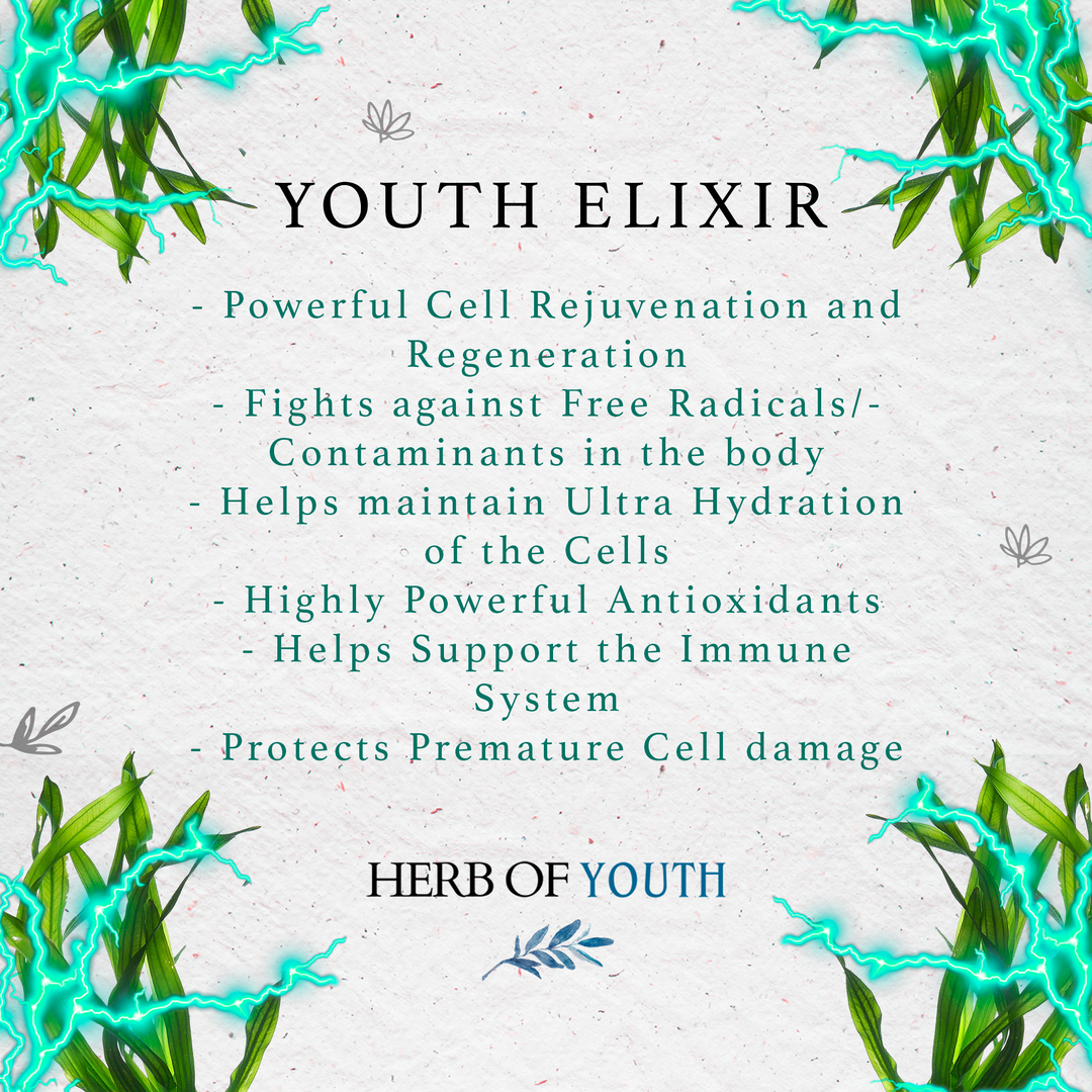 Herb of Youth Elixir