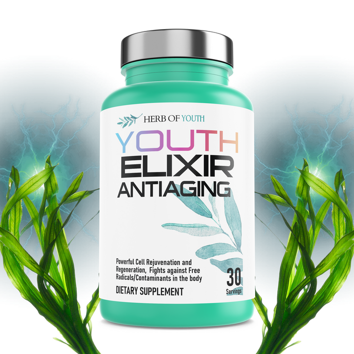 Herb of Youth Elixir